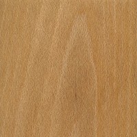 Sycamore: flatsawn (sealed)