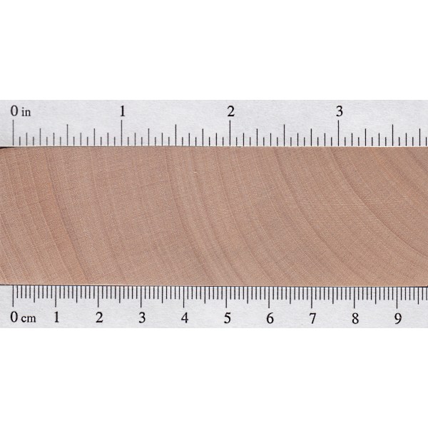 Sycamore Maple The Wood Database Lumber Identification (Hardwood)