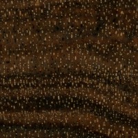 Tambootie (endgrain 10x)