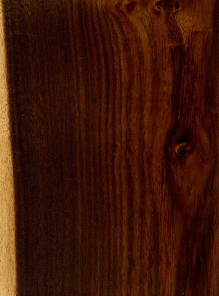 Austin Hardwoods :: Brazilian Ebony