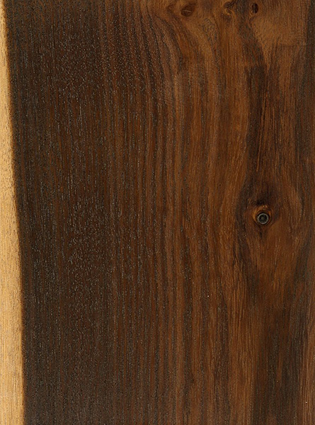 Texas Ebony  The Wood Database (Hardwood)