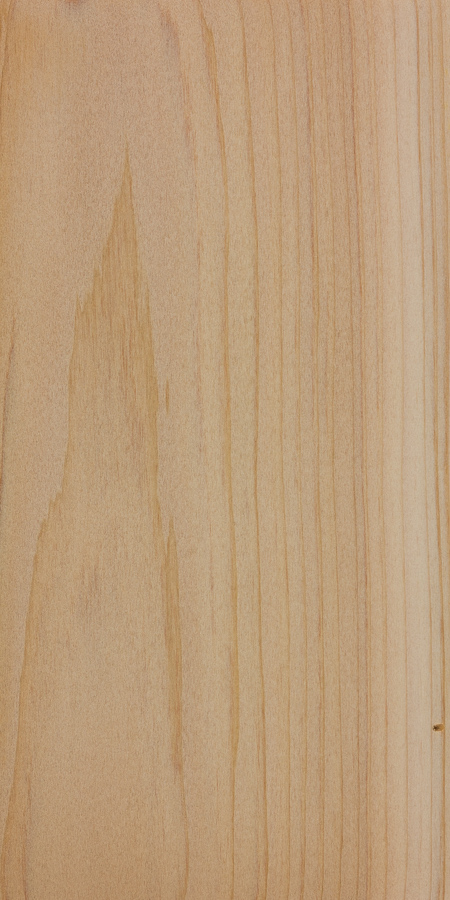 Northern White Cedar  The Wood Database (Softwood)