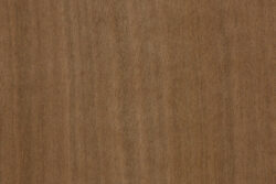 Makore (Tieghemella heckelii)