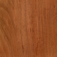 Tiete Rosewood (sealed)