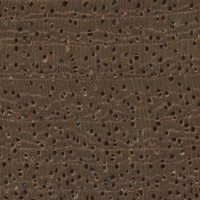 Utile (endgrain 10x)