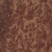 Redwood burl (sanded)