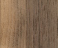 Black Walnut (sapwood demarcation)