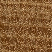 West Indian Satinwood (endgrain 10x)