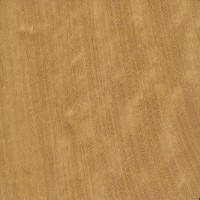 West Indian Satinwood (sealed)