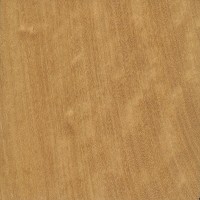 West Indian Satinwood (sealed)