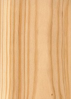 Western Larch (sealed)