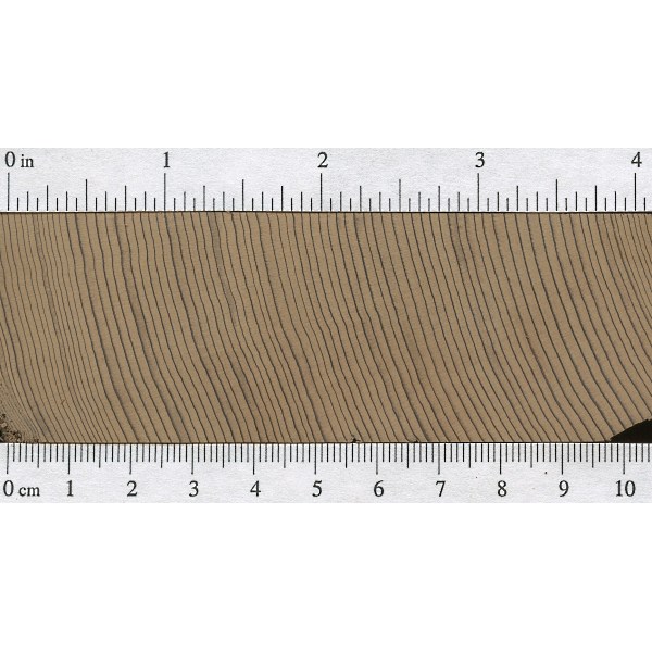 Western Red Cedar The Wood Database Lumber Identification (Softwood)