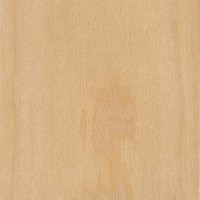 Western White Pine (sealed)