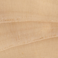 White Spruce (endgrain 10x)