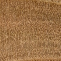 Wild Cherry (endgrain 10x)