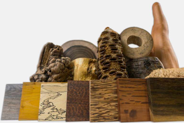 Australian Buloke The Wood Database (Hardwood)