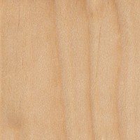 Yellow Birch (sealed)