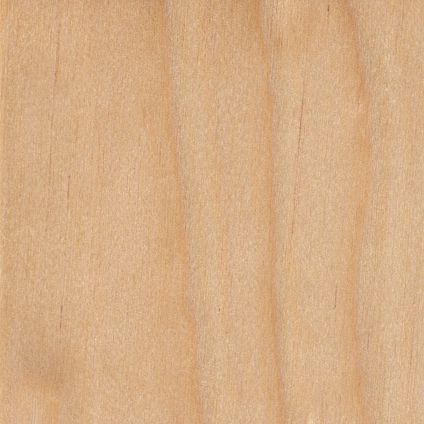 Yellow Birch The Wood Database - Lumber Identification ...