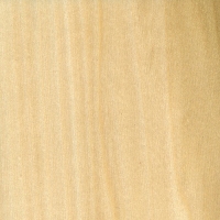 Yellow Poplar (sealed)