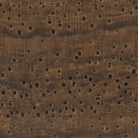 Yucatan Rosewood (endgrain 10x)